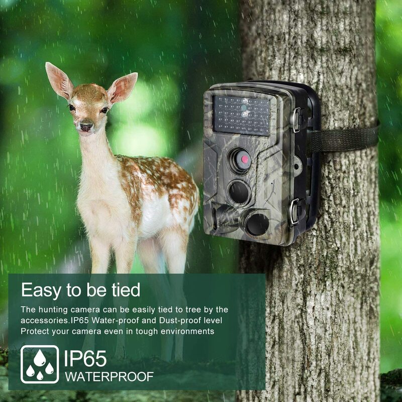 Telecamere di caccia senza fili della macchina fotografica della pista 2.7K 24MP HC802A visione notturna di sorveglianza della fauna selvatica che segue le camme della trappola della foto