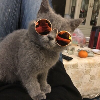 1PC Lovely Pet Catแว่นตาแว่นตาสุนัขสัตว์เลี้ยงผลิตภัณฑ์Kittyของเล่นสุนัขแว่นตากันแดดรูปภาพ3ซม.สัตว์เลี...