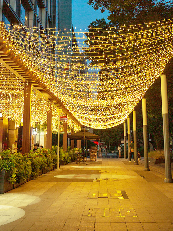 Outdoor LED String Lights Guirlanda, impermeável Fairy Light, Natal, Festa de Casamento, Feriado, Decoração de Jardinagem, 110 V, 220 V, 10-100m