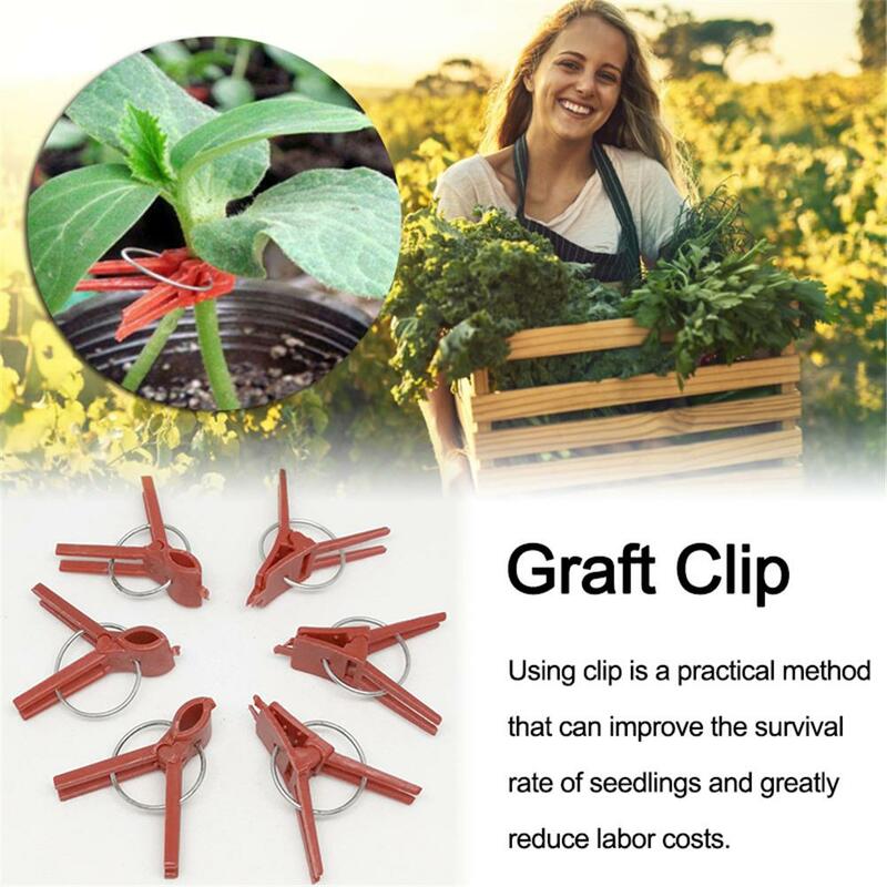 50 pces plantas grampos de enxerto plástico ferramentas de jardim para pepino berinjela melancia
