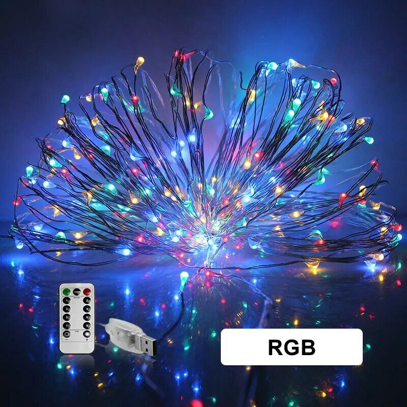 Festive outdoor copper string light 2m 20leds remote control timing battery USB garden light for party Christmas decoration