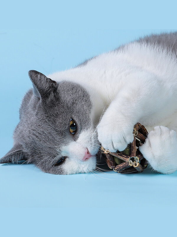Tongkat Catnip Alami Bola Panjang dari Poligon Mutabilis Gigi Pembersih Kucing Stik Molar Bola Makanan Ringan Kucing Aksesori Hewan Peliharaan Mainan Kucing