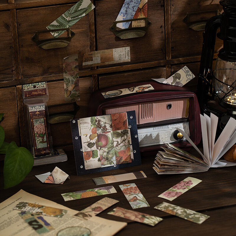 Vintage Washi Paper Stickers, Borboleta, Plantas Naturais, Cogumelo, Linda Senhora Scrapbooking, Lixo Diário, Deco, Adesivo, 50 Folhas