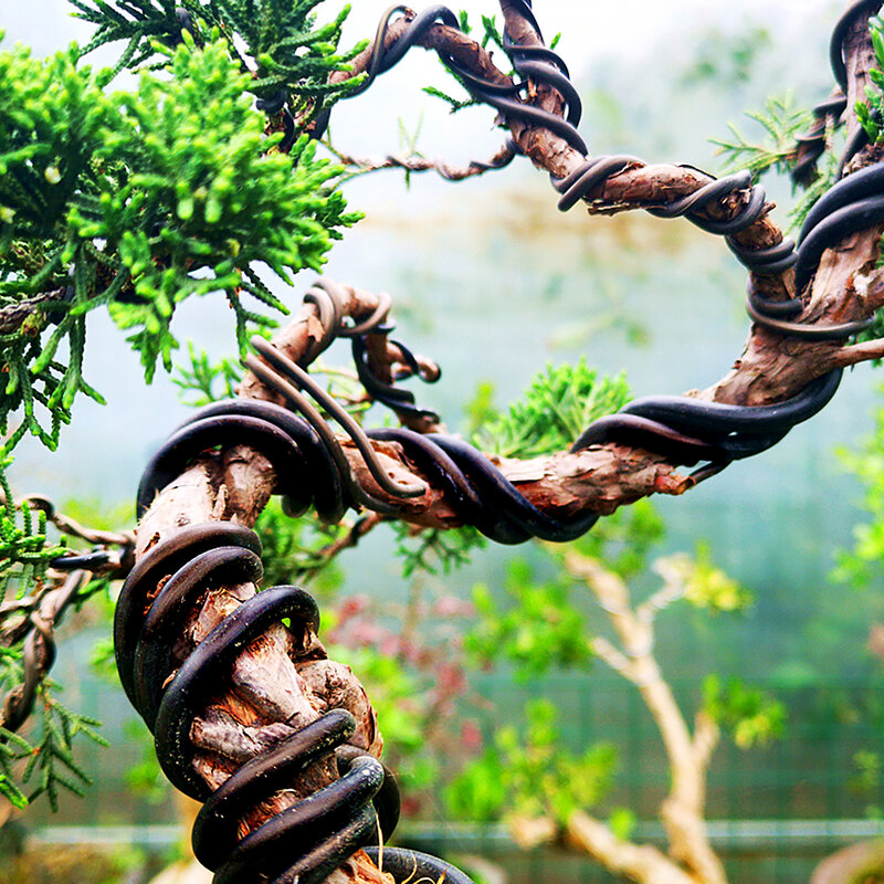 Alambre de aluminio en forma de bonsái para jardín, alambre negro de seis tamaños para formas de jardín y plantas, 1,0mm, 1,5mm, 2,0mm, 3mm, 4mm, 5mm