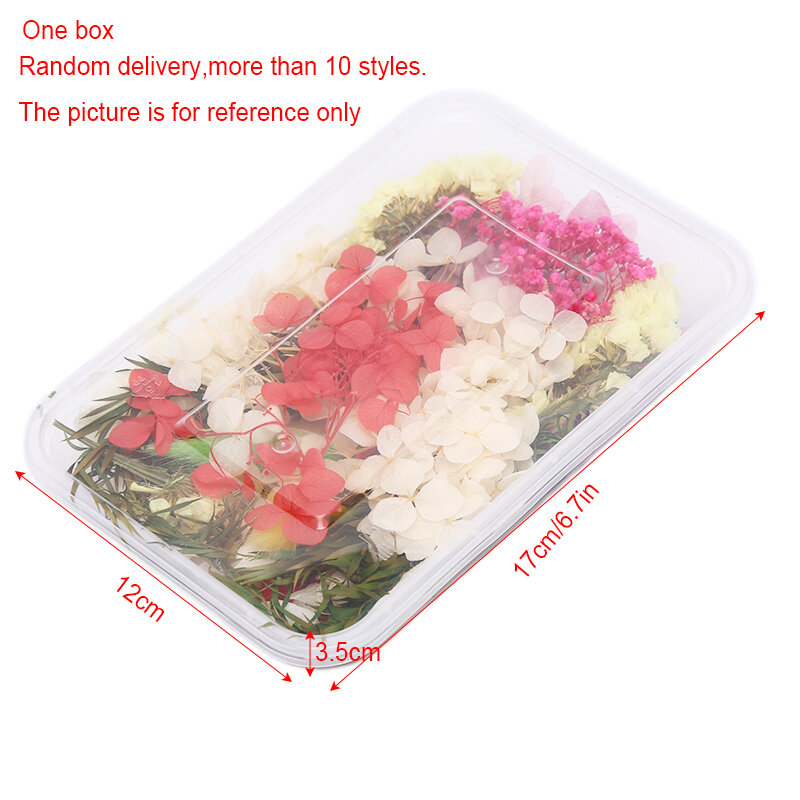 Decoração com flores secas e naturais 3d, adesivo floral, decalque para arte em unhas de beleza seca, molde epóxi, jóias de enchimento, 1 caixa