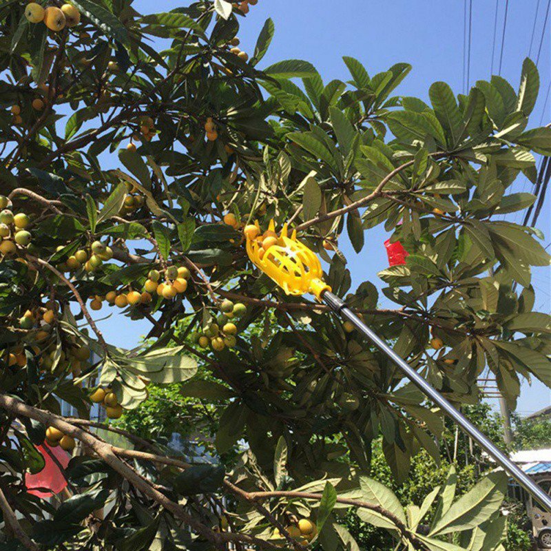 Esterno di Plastica Raccolta della Frutta Strumenti Conveniente Durevole Per Bayberry Prugne Giardino Utensili A Mano (senza Pole)