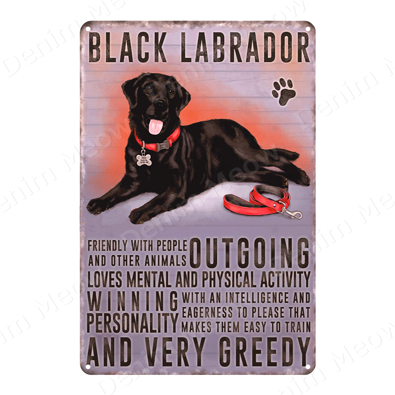 Póster Vintage de perro mascota, placa de Metal para decoración del hogar, señales de estaño para Pub, Bar, cafetería, Pug, Labrador, Shih, Tzu, Cockapoo, N356