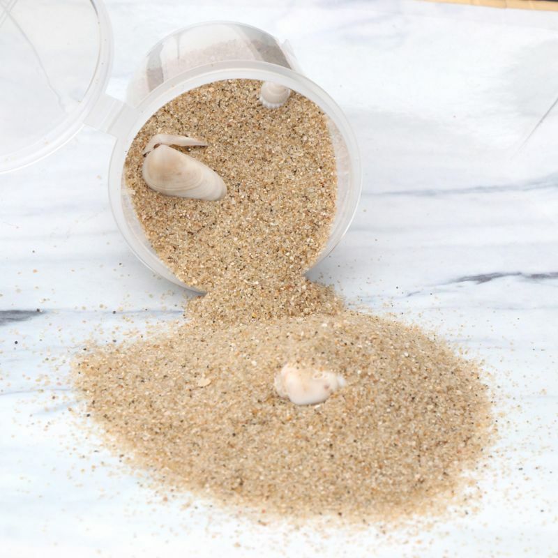 Hot Beach Natural Seashell Starfish Sand For UV Resin Fillings Frames Jewelry Making
