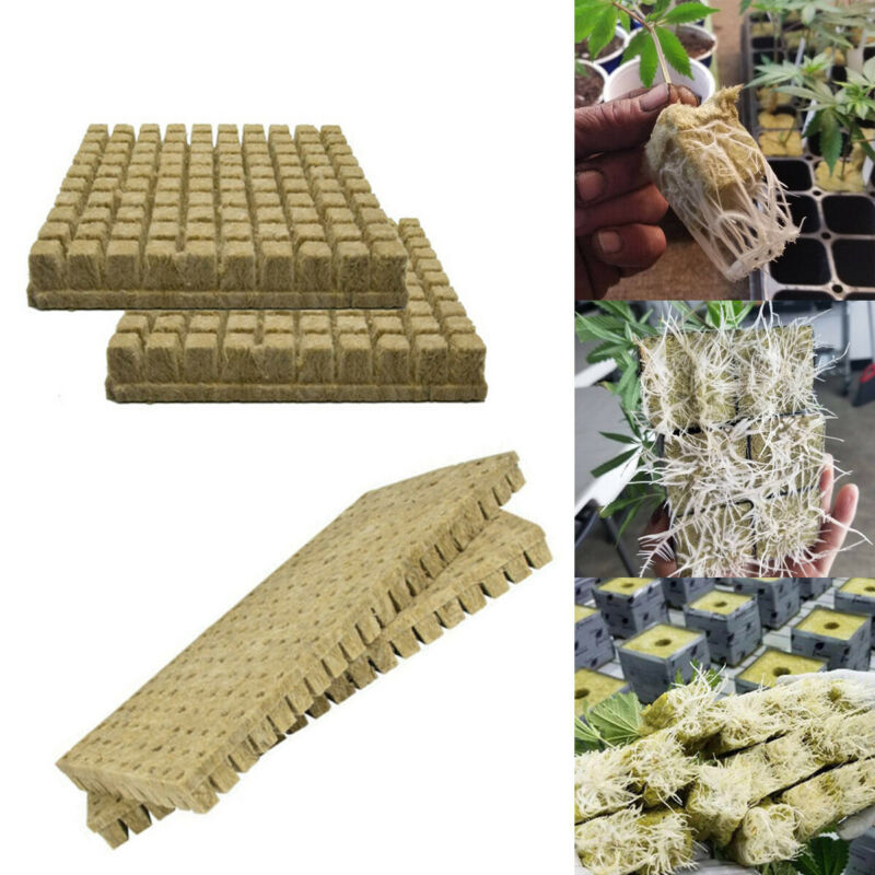 Grodan 25mm SBS Rockwool Sheet Block Propagation Grow Cubes Tray Cloning Seed Raising Hydroponics 49/98 Plugs UK