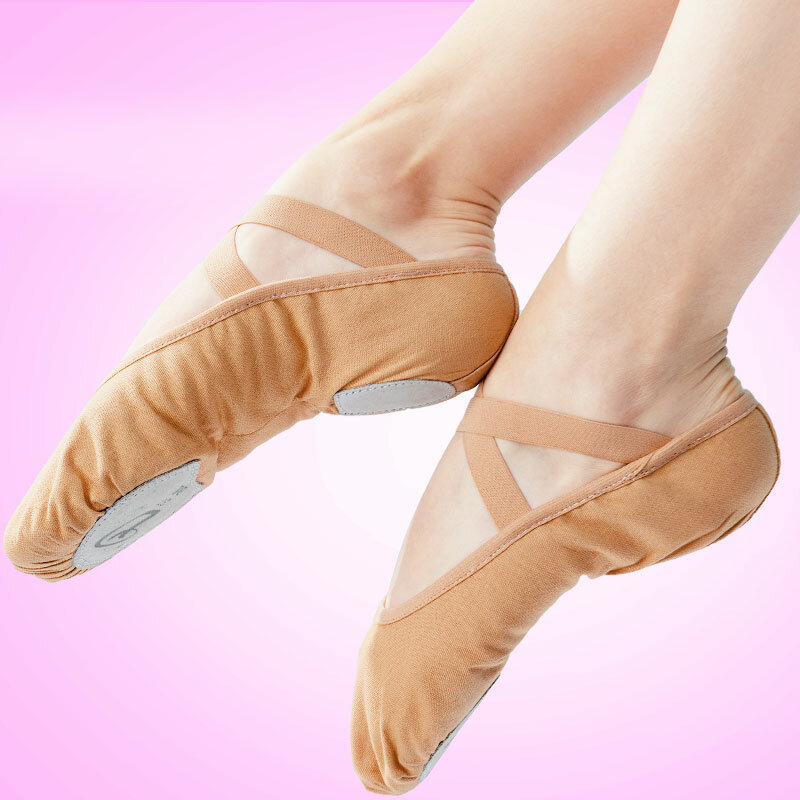 Zapatillas de Ballet de lona para mujer, zapatos de práctica de Ballet, zapatillas de Ballet suaves