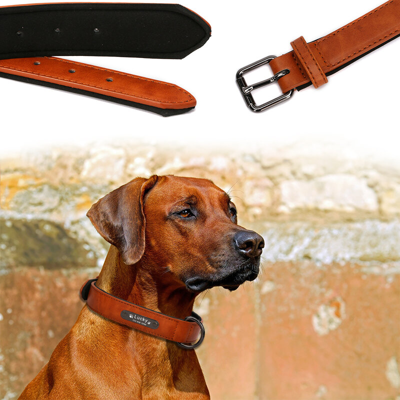 Colar personalizado de couro grande pequeno do colar do cão do luxo feito sob encomenda grande personalizado, couro largo para o nome dos cães gravado