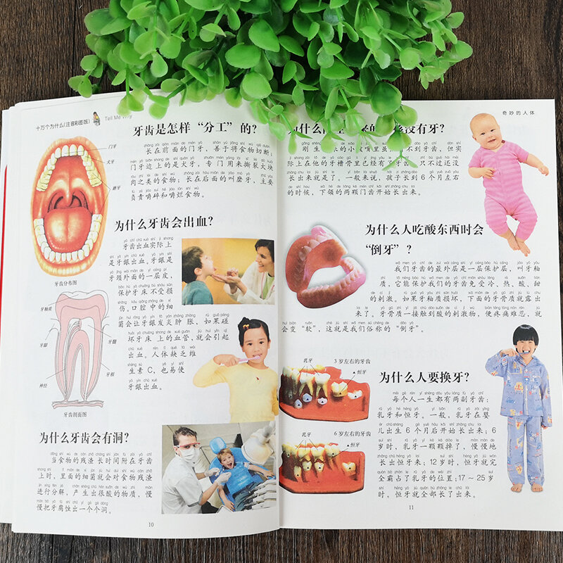Buku Cina Baru Seratus Ribu Whys Buku Ilmu Populer Ensiklopedia dengan Pinyin 6-12 Usia