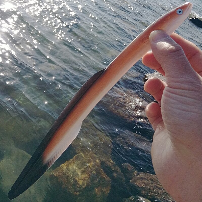 Señuelo de pesca artificial de Anguila, cebo de lubina de 29,5 cm, 56/59g