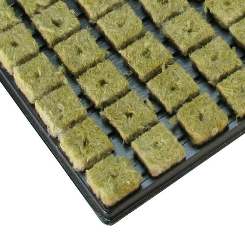50 Uds. Una hoja Soilles Plantin esponja cultivo de plantas Grodan Starter cubos rockwool media extender Clonación de cubos de lana de roca
