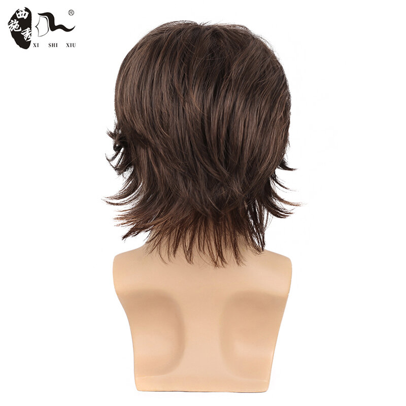 10inch Short Brown Straight Wave Synthetic Wigs With Bangs For Young Men Fleeciness Realistic Natural Heat Resistant Daily Wigs