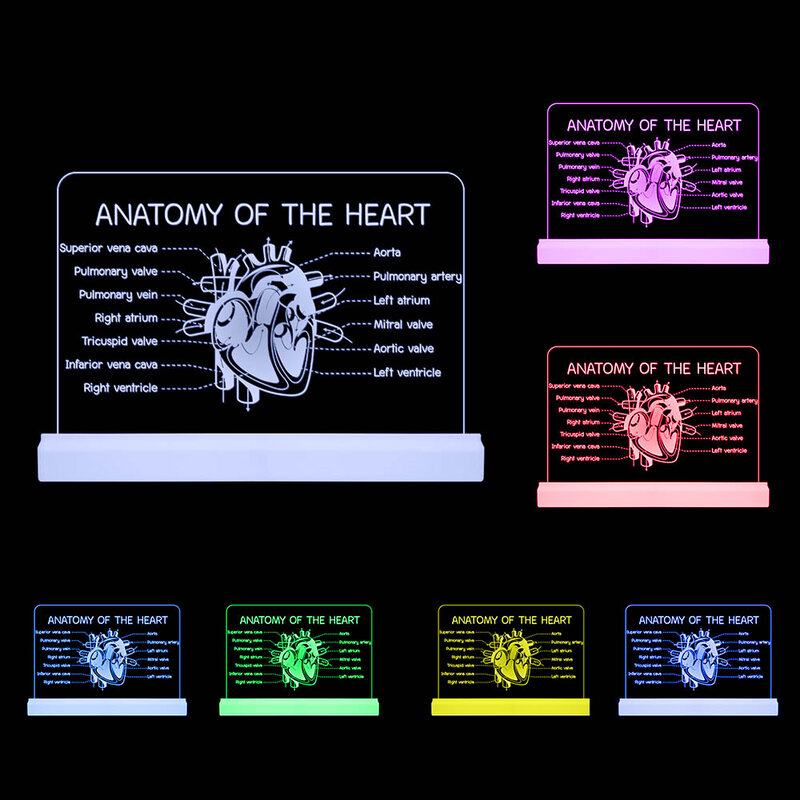 Schemat ludzkiego serca 3D Design oświetlenie zmysłowe kardiolog prezent kardiologia wskaźnik lampa szpital kardiologia Department Decor