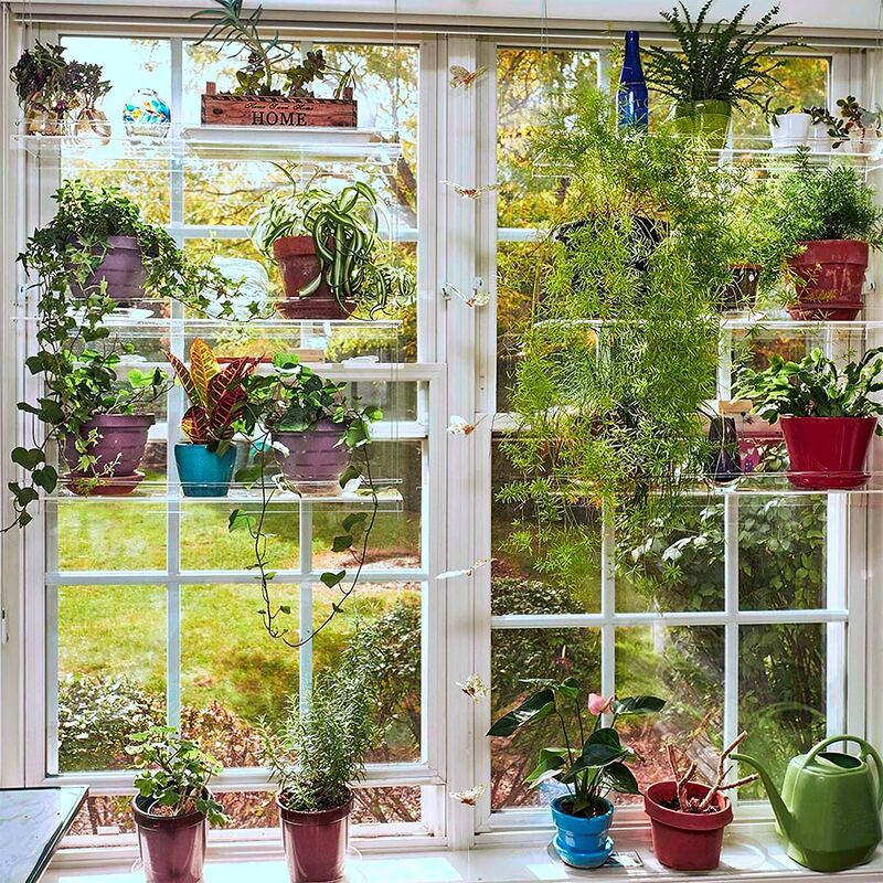 화분 진열대 선반 식물 선반 모던한 장식 식물 랙 스탠드, 식물 다육이 선반, 아크릴 다층 정원 꽃 스탠드, 창문, 거실, 침실용