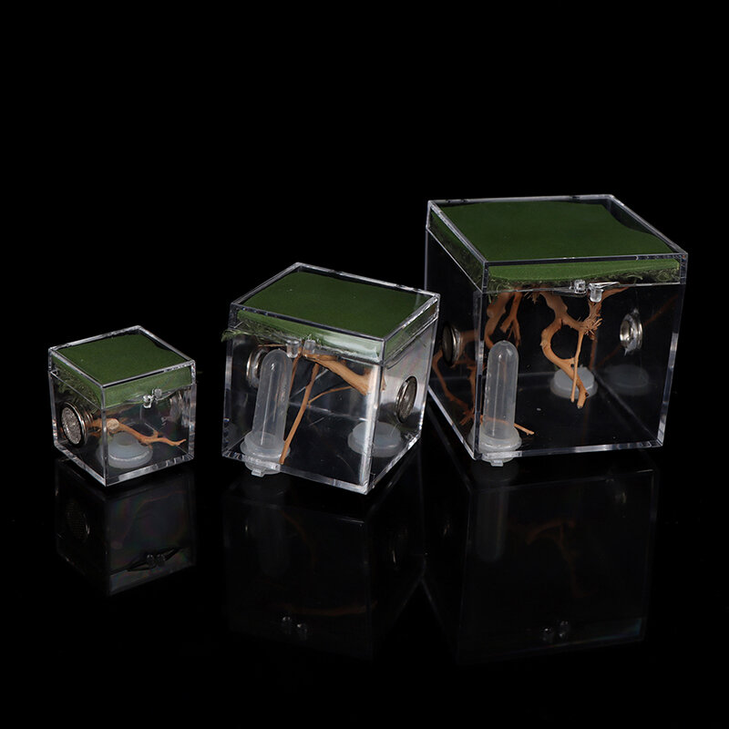 S/M/L pająk Terrarium dla gadów akrylowy gad inkubator Terrarium akcesoria owad Box dla pająka krykieta ślimak Tarantula