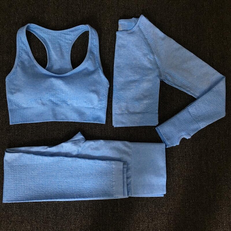 Conjunto de calça legging sem costura, sutiã manga comprida, top crop, roupa esportiva feminina para corrida, academia e fitness