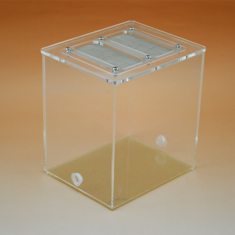 Acrylic Ants feeding area 11*9*12cm with 2 connection hole Insects box