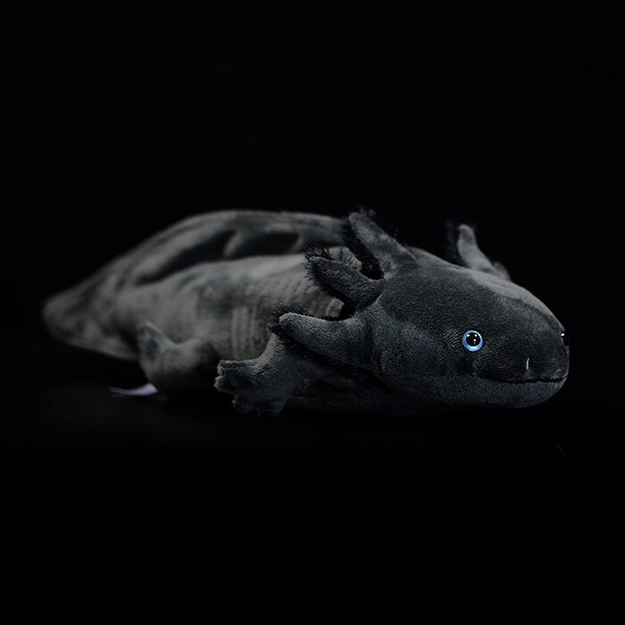 Boneka Axolotl Lucu Mainan Mewah Simulasi Kehidupan Nyata Ambystoma Mexicanum Model Hewan Dinosaurus Boneka Mewah untuk Anak-anak Hadiah Berani