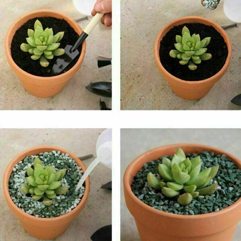 10 sztuk mała donica z terakoty ceramika glina sadzarka kaktus doniczki soczyste doniczki przedszkolne świetne dla roślin rzemiosło