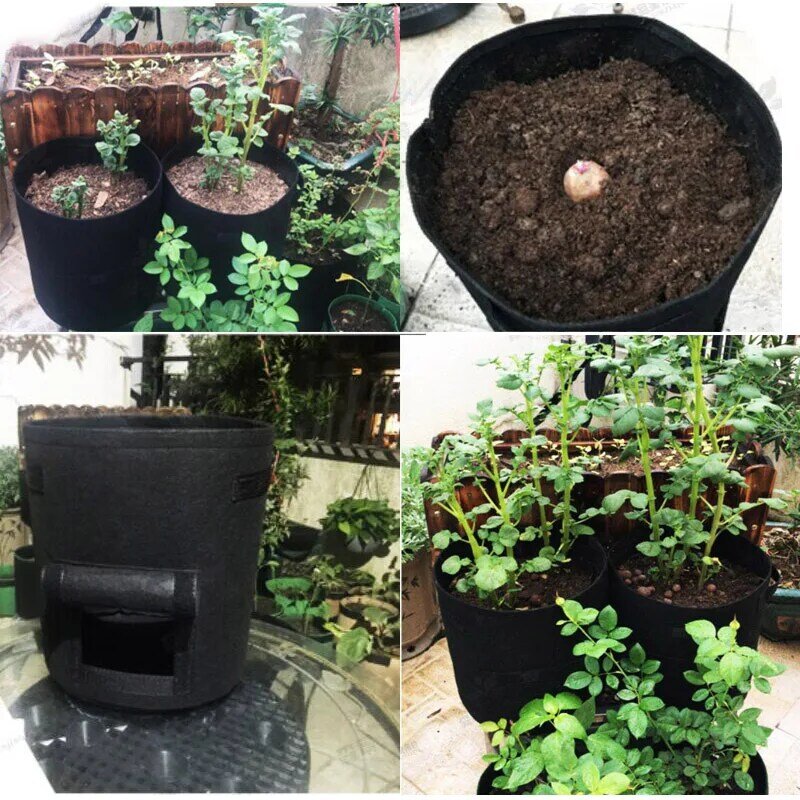 3 dimensioni pianta coltiva borse giardino domestico vaso di patate serra sacchetti per ortaggi idratante jardin verticale borsa da giardino strumenti