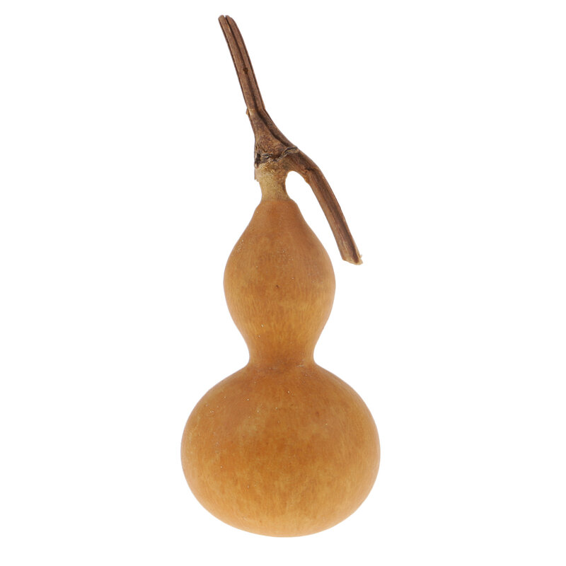 Natural BOTTLE GOURDS (DRIED & CLEANED) Small Calabash Gourd Craft DIY Decor