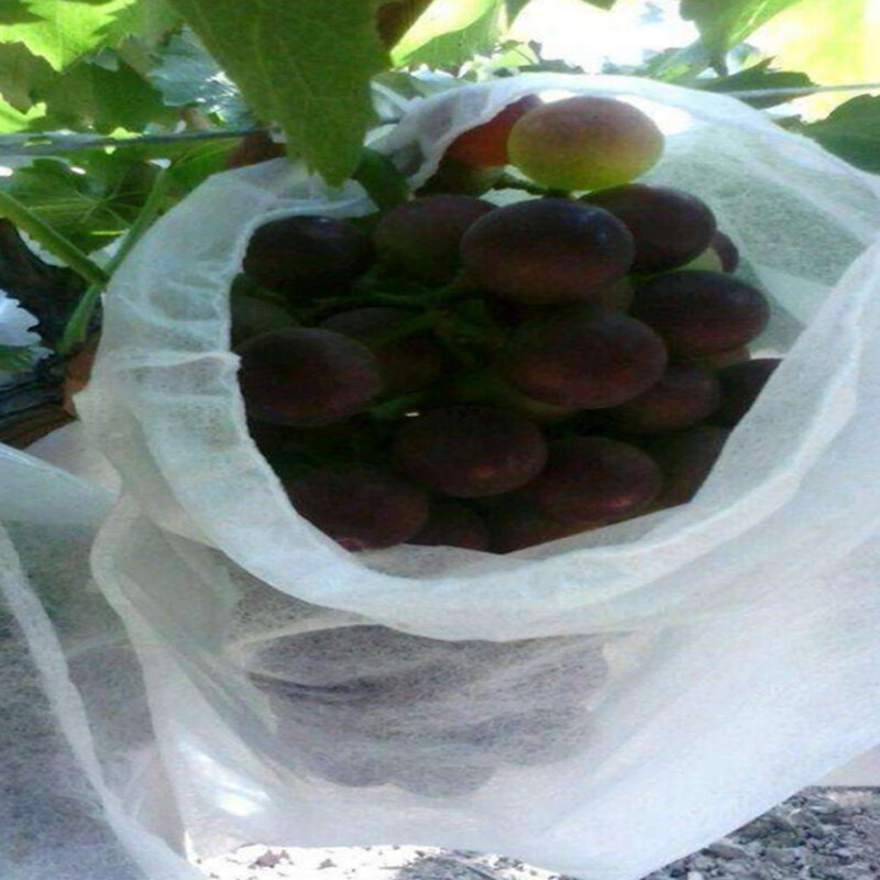 100pcs giardino fragola uva sacchetti di protezione della frutta copertura pianta vivaio borsa controllo dei parassiti anti-uccello borsa a rete giardinaggio proteggere