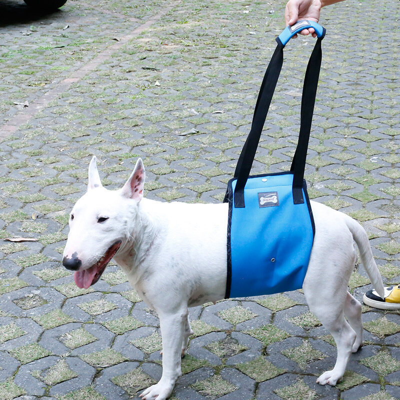 Dole m cão-perna auxiliar cinta suspender mais velho pernas traseiras do cão ferido proteção cão walker com carro no andar de cima
