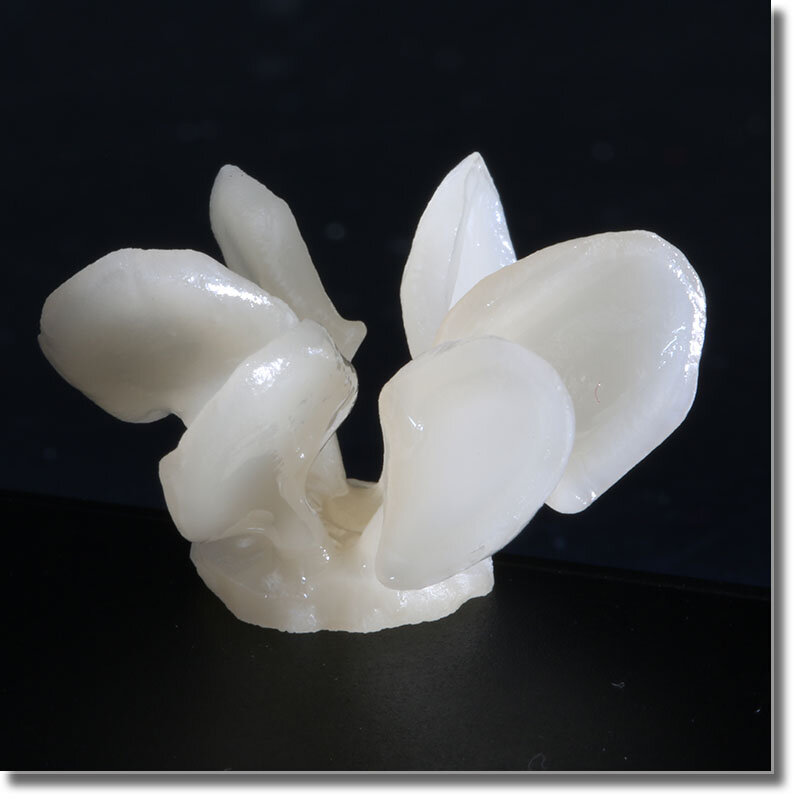 Beautyzir Press Glass Ceramic Ingots Dental Press Disilicate Lithium Block 5 Pieces HT/LT A1-D4