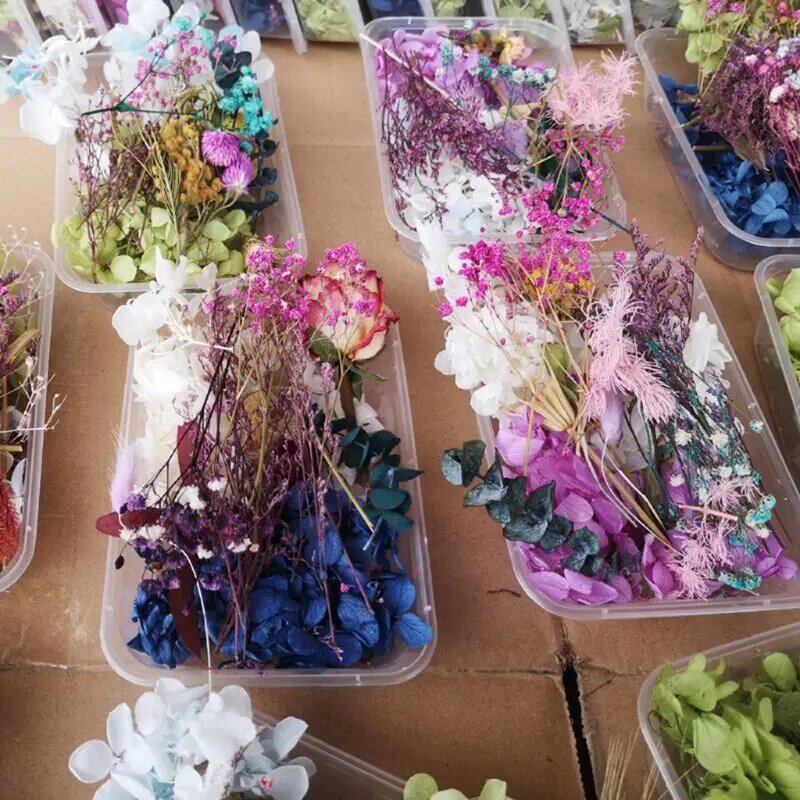 Flores secas em resina, mistura real, joias para plantas secas, flores prensadas, faça você mesmo, 24be, 1 caixa