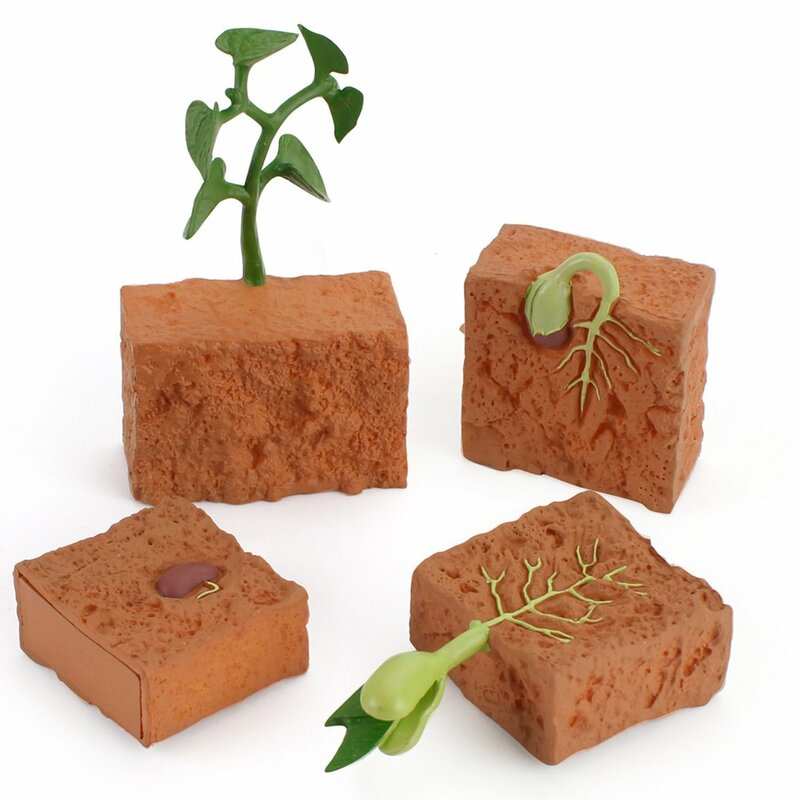 녹색 콩 식물 성장주기 모델 액션 피규어 컬렉션, 시뮬레이션 수명주기, 어린이를 위한 과학 교육 완구