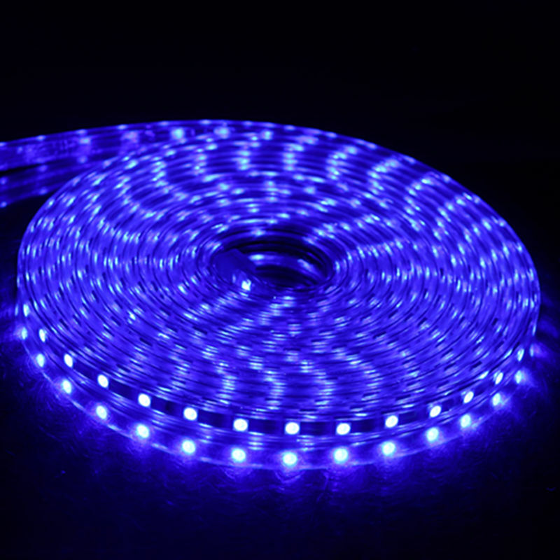 Bande lumineuse LED avec fiche secteur, ruban d'éclairage étanche, flexible, SMD 5050 AC220V, 60 diodes/m, 1m 2m 3m 5m 6m 8m 9m 10m 15m 20m