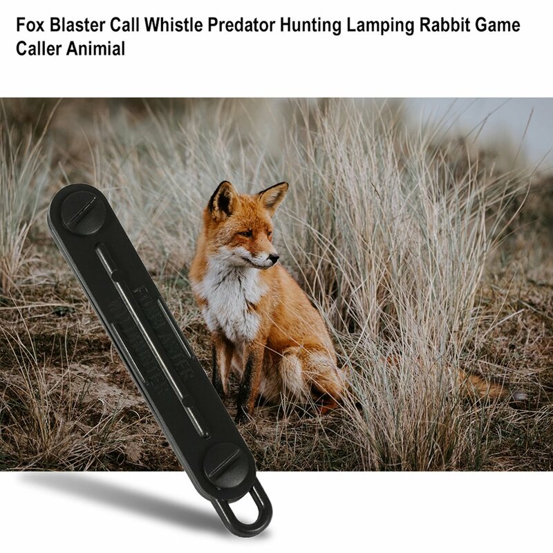 Czarny na zewnątrz lis w dół lisa Blaster nazywa gwizdek drapieżnik polujący na lampinga dzwoniącego na królika