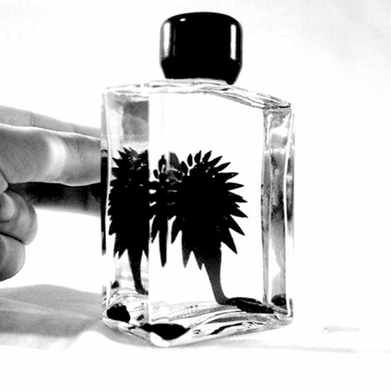 Ferrofluid Nước Từ Chất Lỏng Màn Hình Ngộ Nghĩnh Đồ Chơi Con Khoa Học Giải Nén Chống Căng Thẳng Đồ Chơi