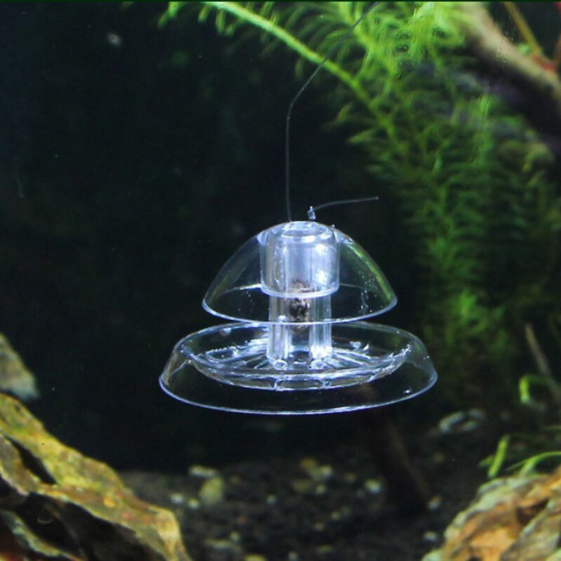 Piège à escargots en plastique transparent pour aquarium, boîte de capture de poissons et de plantes précieuses, sangsue, environnement, outils de nettoyage planariens