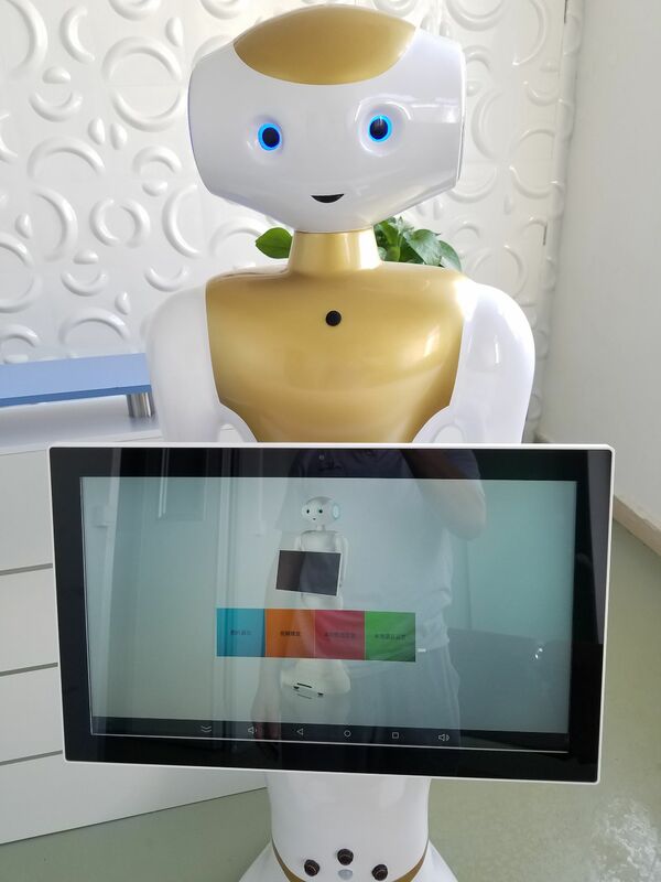 Humanóide inglês robô educacional escola museu shopping hall maneira recepção guia de voz robô