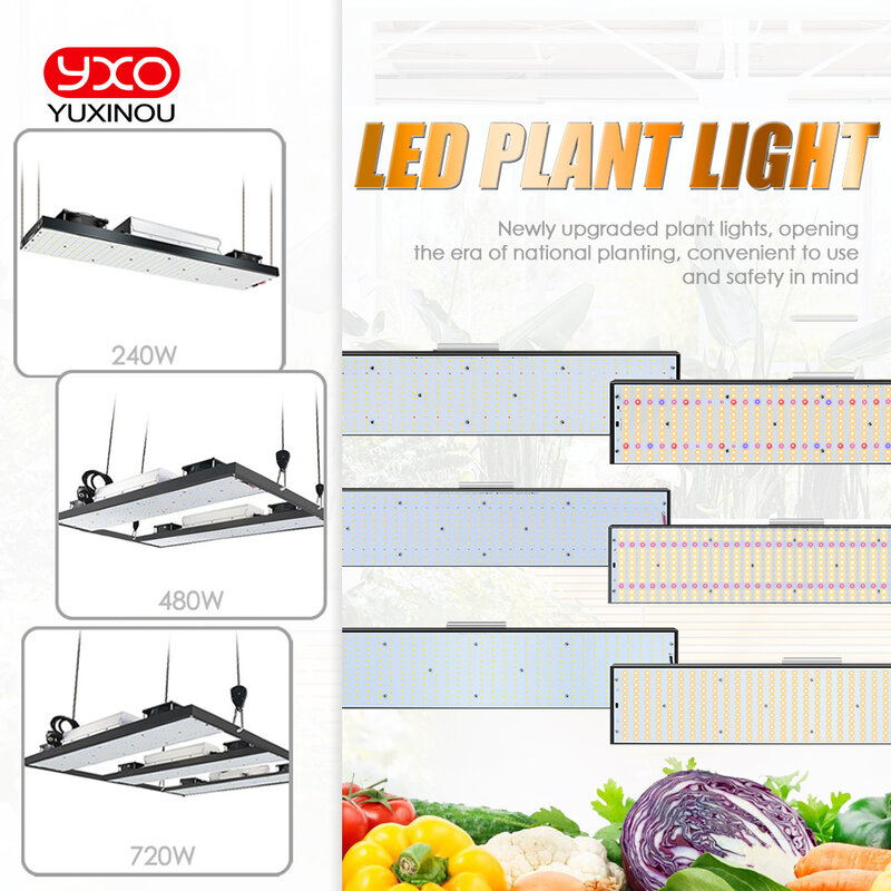 Sam-ng-Full Spectrum LED Grow Lights, LM301h, 240W, 480W, 720W, Cresça a Luz para Vegetais de Interior, Flor, Mudas