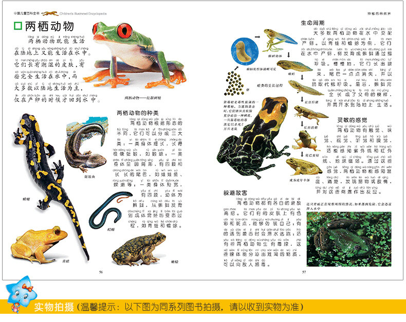 Chinese Kinderen Encyclopedie Transport/Natuur/Cultuur/Geesteswetenschappen Geschiedenis Kids Boek
