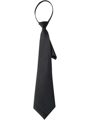 Gravata de pescoço estreito e sedoso feminina, gravata fina, suave, estilo coreano, simples, elegante, combina tudo, na moda, retrô, gravatas unissex, 2021
