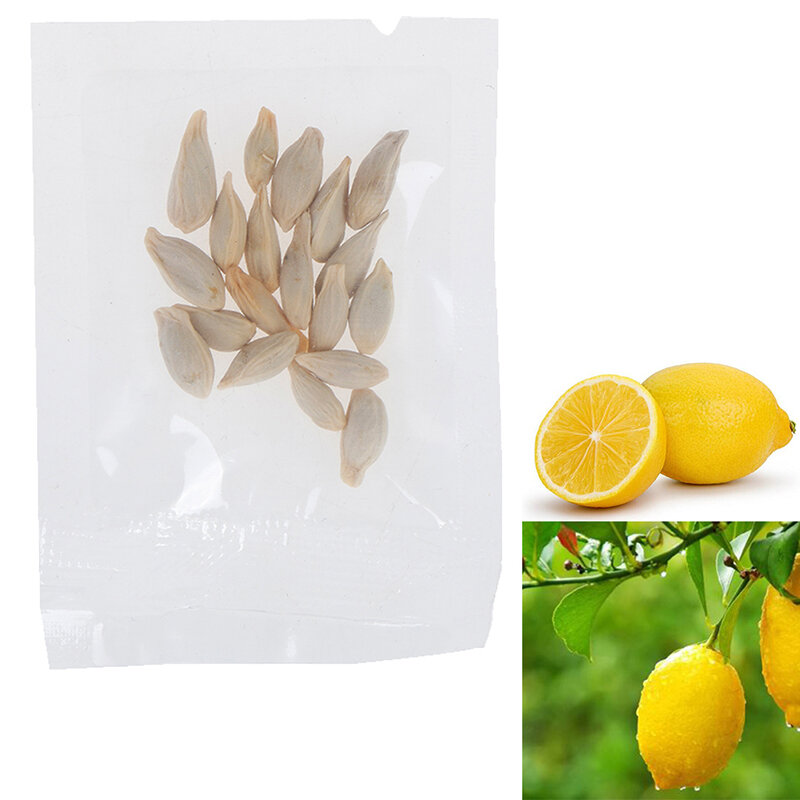 10pcs 레몬 분재 레몬 나무 과일 나무 정원 안뜰 과일 식물