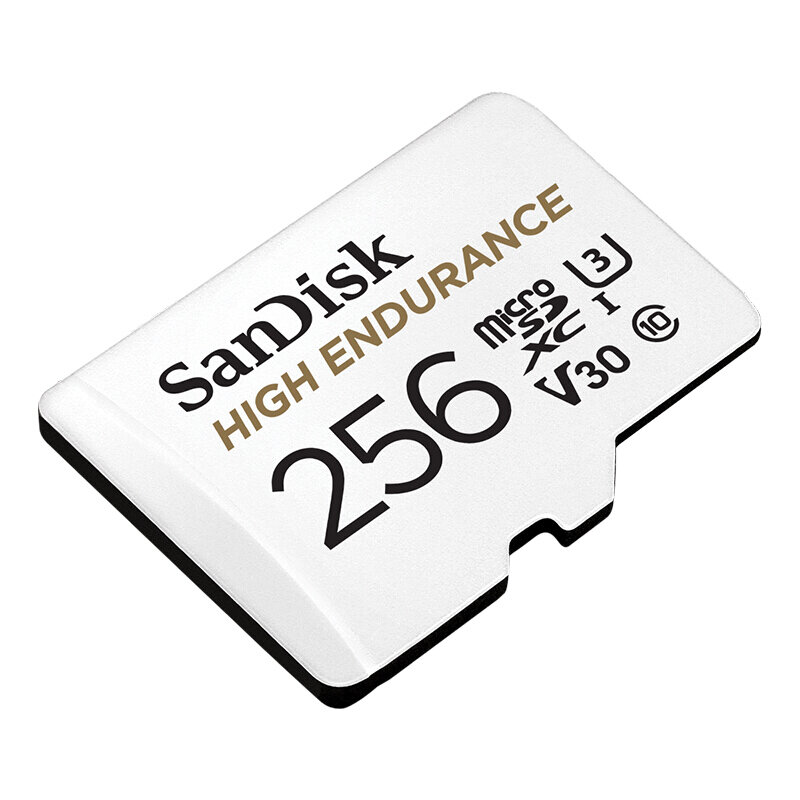 SanDisk Monitor Video Tahan Lama 32GB 64GB 128GB 256GB Kartu SD SDHC/SDXC Class10 40MB/Dtk Kartu TF untuk Pemantauan Video