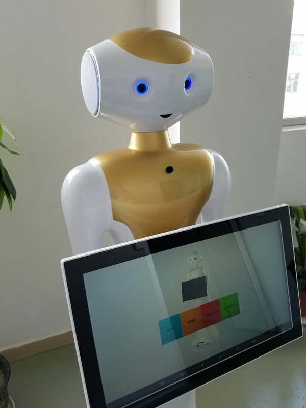 Humanóide inglês robô educacional escola museu shopping hall maneira recepção guia de voz robô