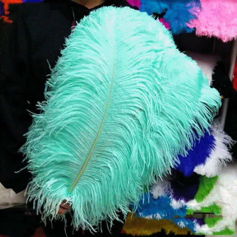 Pluma de avestruz verde claro, 60-65cm/24-26 pulgadas, bricolaje, celebración, hogar, Accesorios, plumas para manualidades, 50 unids/lote