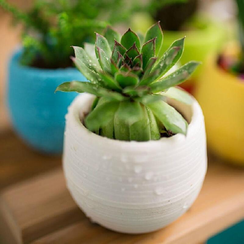 2021 New Style Cute Succulent Plants Flower Pot Saucer Tray Planter Home Desk Garden Desktop Supplies Decor 