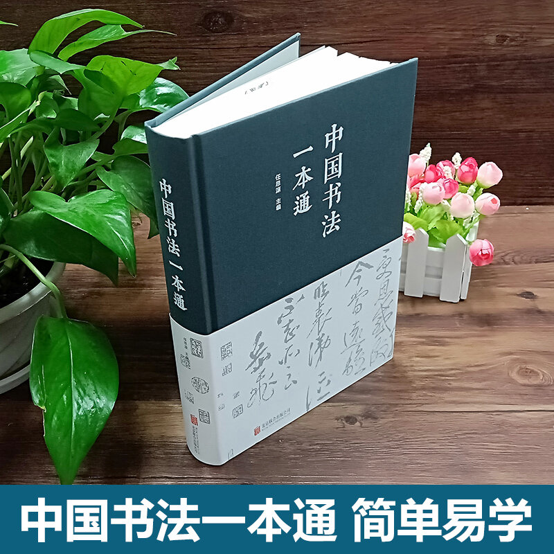 New 640pages, Learning Chinese Calligraphy Book Different Font Easy to Learn Chinese Calligraphy 25cm*18cm