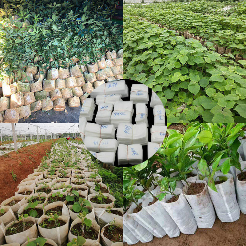 100 pçs/set degradável planta berçário sacos sementes crescente recipiente jardim ferramenta descartável pe cultivo melancia plantio saco