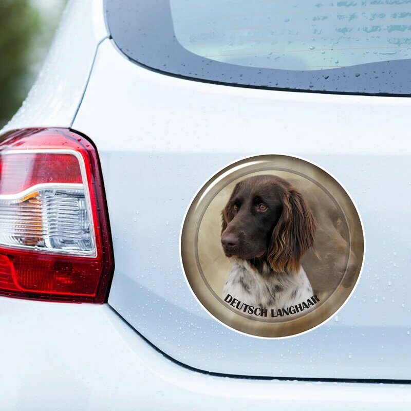S62136 # الألمانية Langhaar الكلب ذاتية اللصق ملصق لاصق سيارة مقاوم للماء الديكورات السيارات على الوفير الخلفي نافذة الكمبيوتر المحمول اختيار حجم