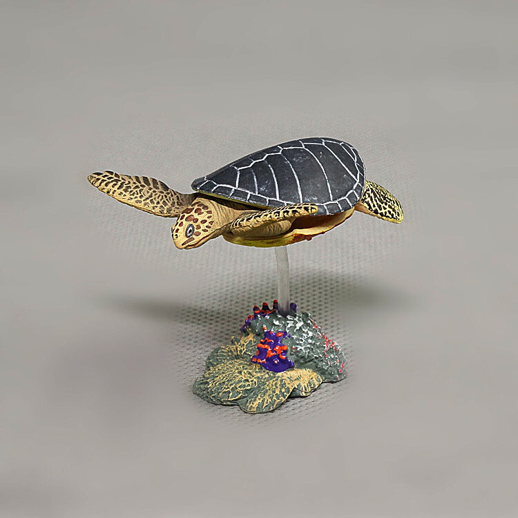 Figuras de acción clásicas de animales marinos brasileños, tortuga marina, juguete educativo realista para niños, 15 Uds. Por lote